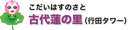 古代蓮の里