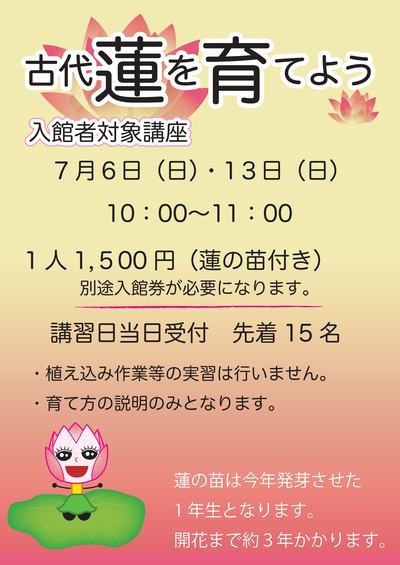 蓮の育て方講座チラシ