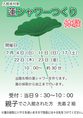 蓮シャワーつくり体験