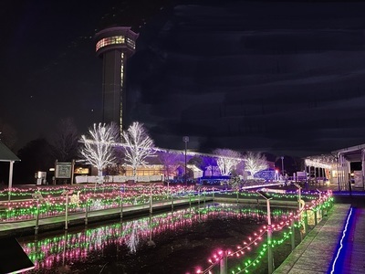 イルミネーション（イメージ）