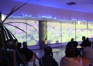 プロジェクションマッピング