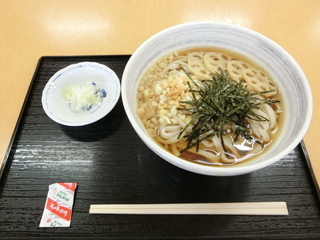 蓮きんぴらうどん