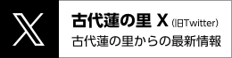 古代蓮の里 Twitter