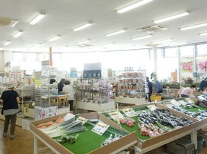 古代蓮の里売店