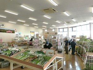 古代蓮の里売店